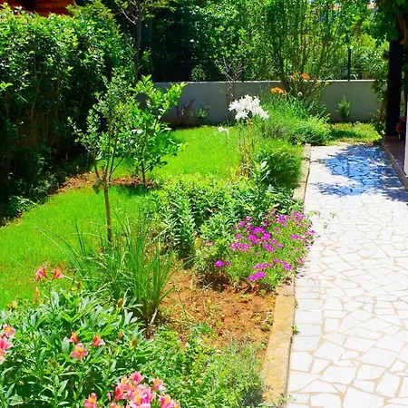 Apartament Luci